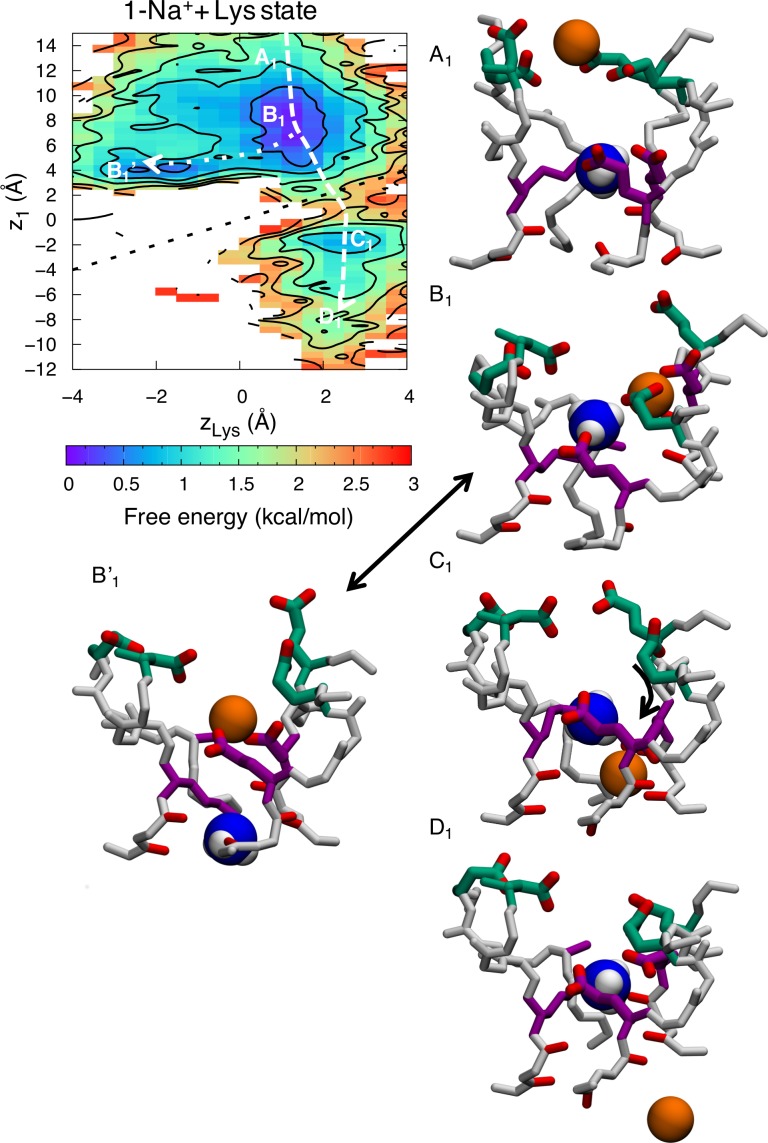 Fig 6