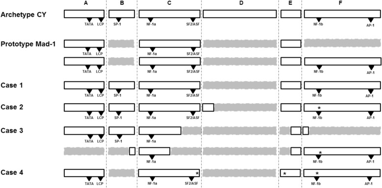 Fig. 1