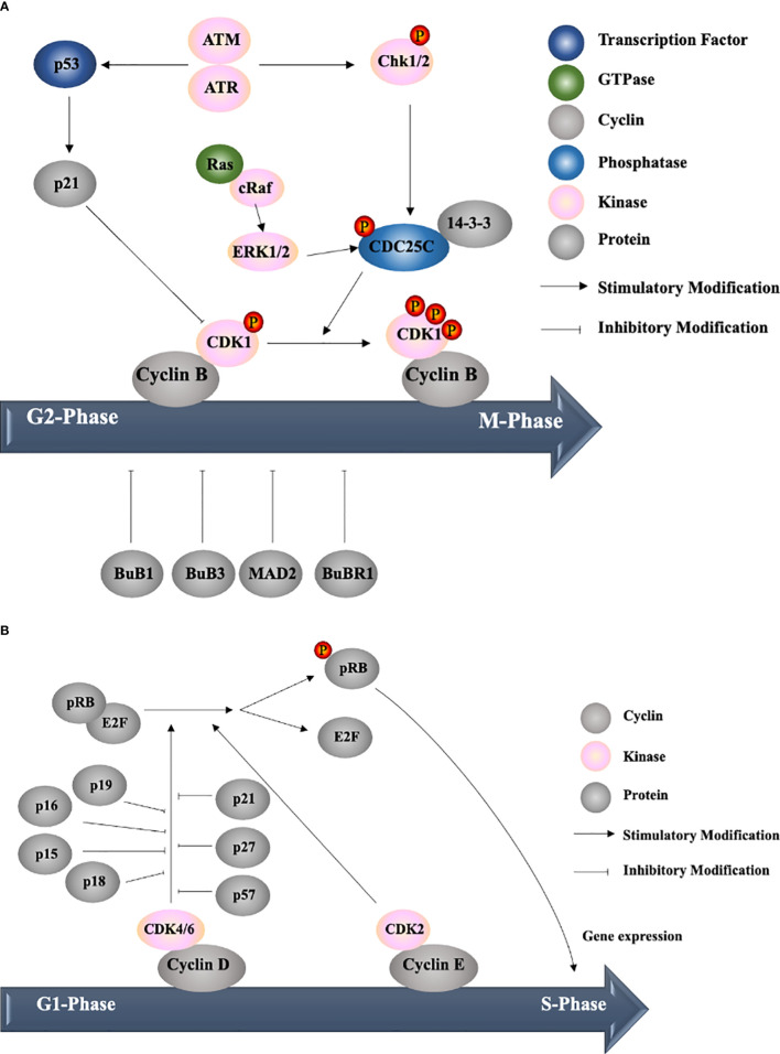 Figure 2