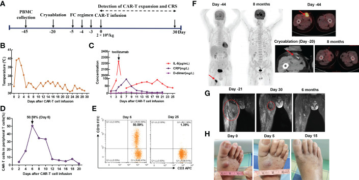 Figure 4