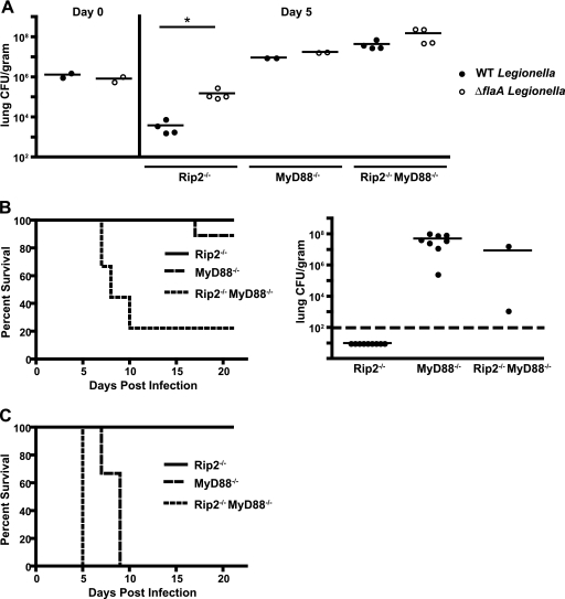 FIG. 6.