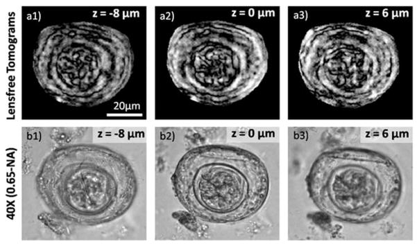 Fig. 7