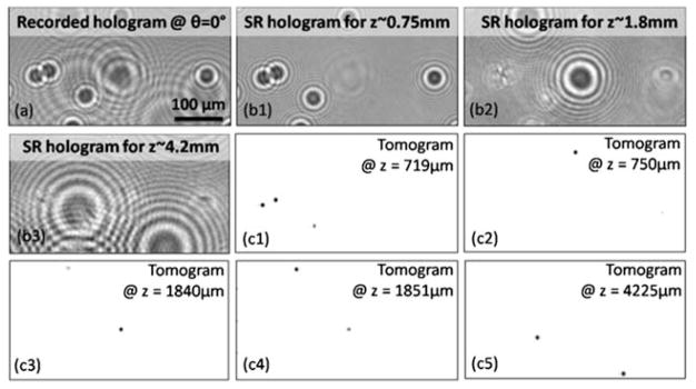 Fig. 6