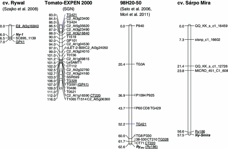 Fig. 3