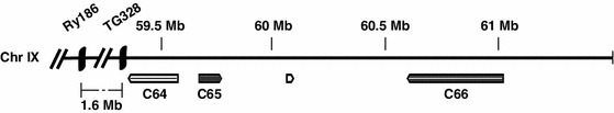 Fig. 4