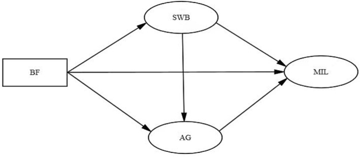 FIGURE 1