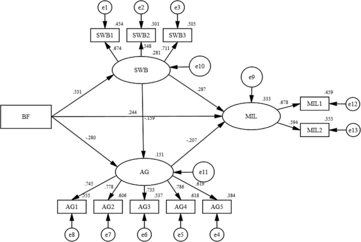 FIGURE 2