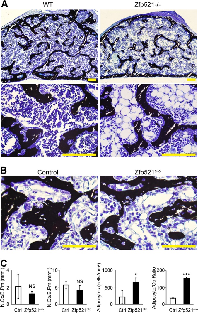 FIG 3