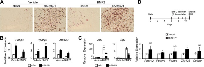 FIG 6