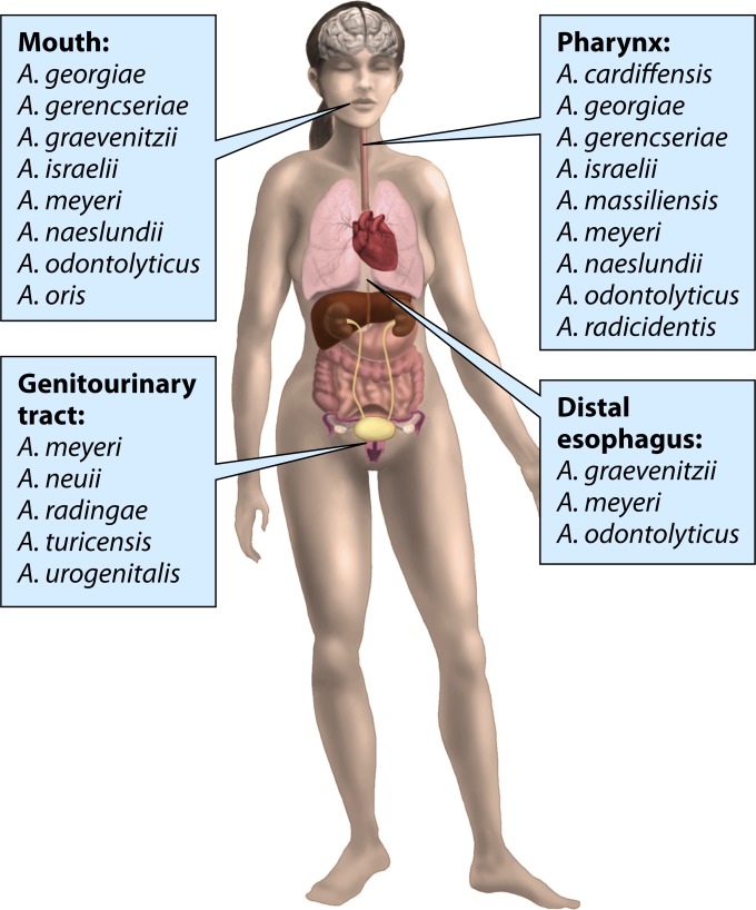 FIG 2