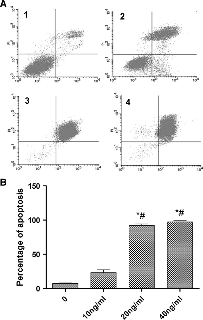 Fig. 2