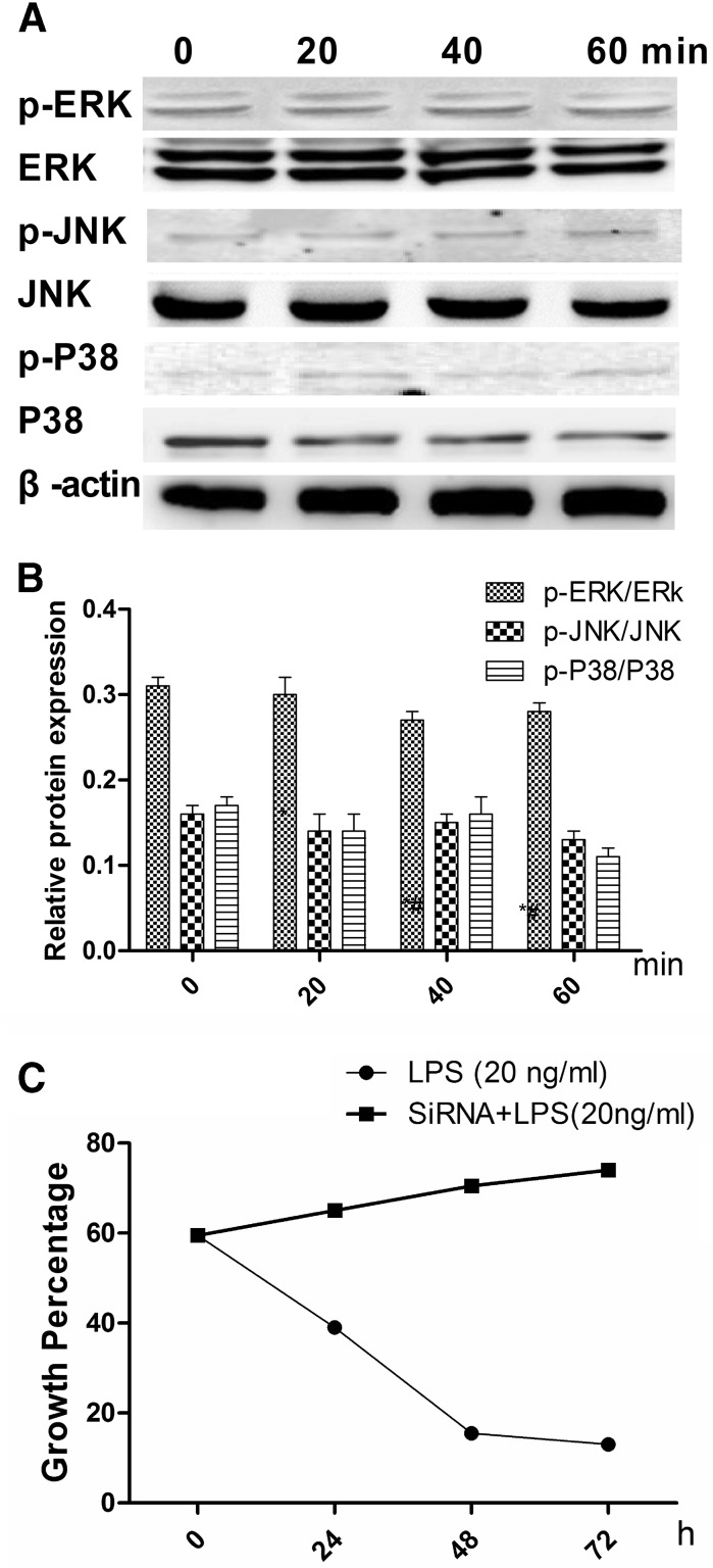 Fig. 7