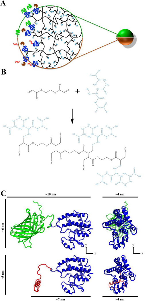 Fig. 1