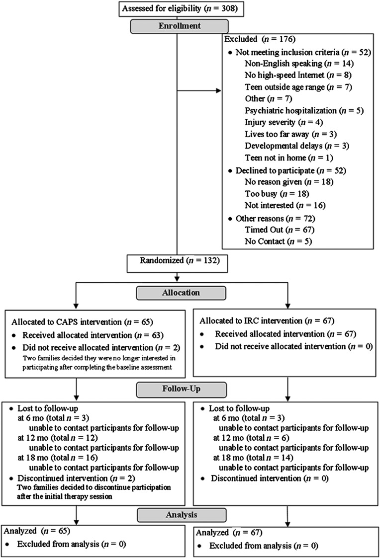 FIGURE 1