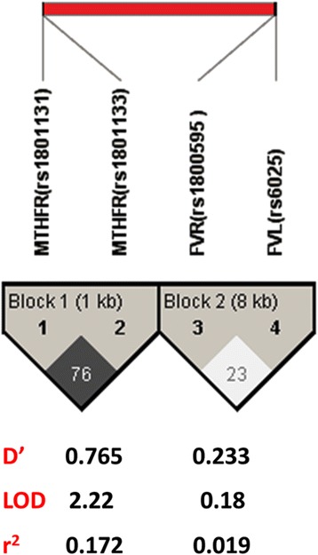 Fig. 2