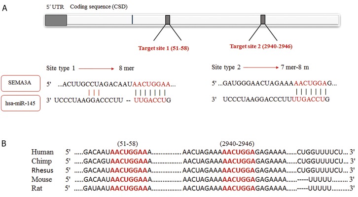 Fig.2