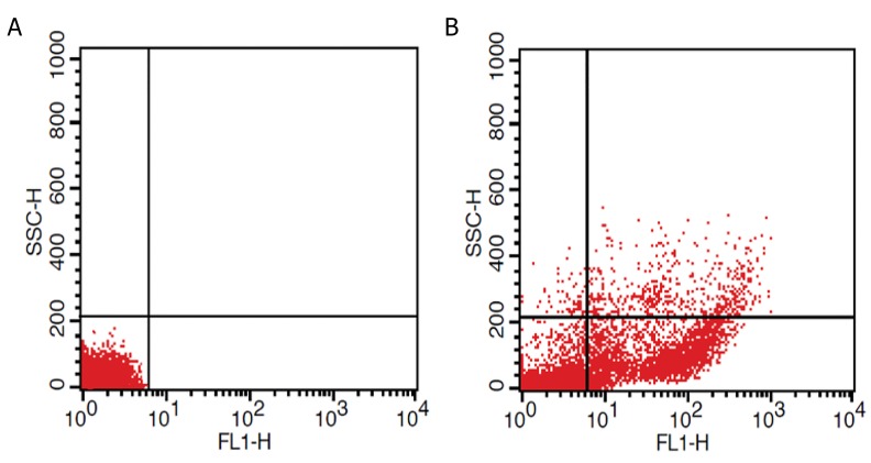 Fig.3