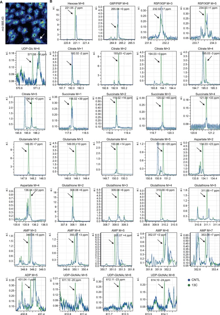 Extended Data Fig. 8