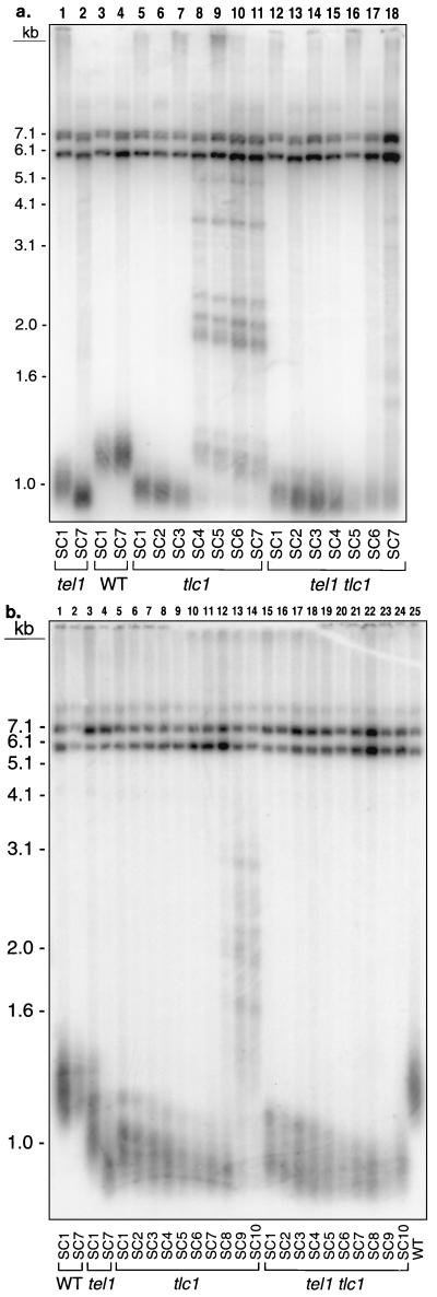 FIG. 8