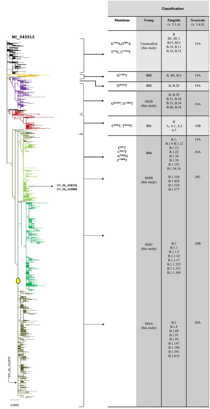 Fig. 2