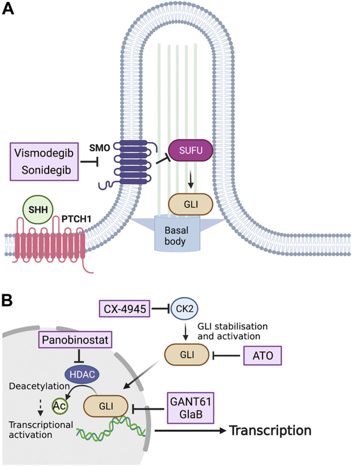 FIGURE 3