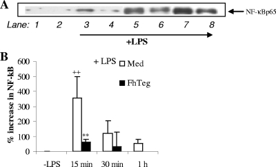 FIG. 8.