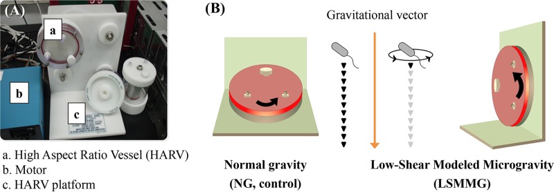 FIG 1