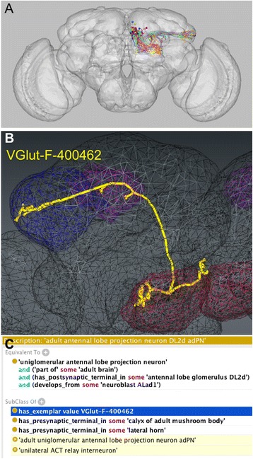 Fig. 3