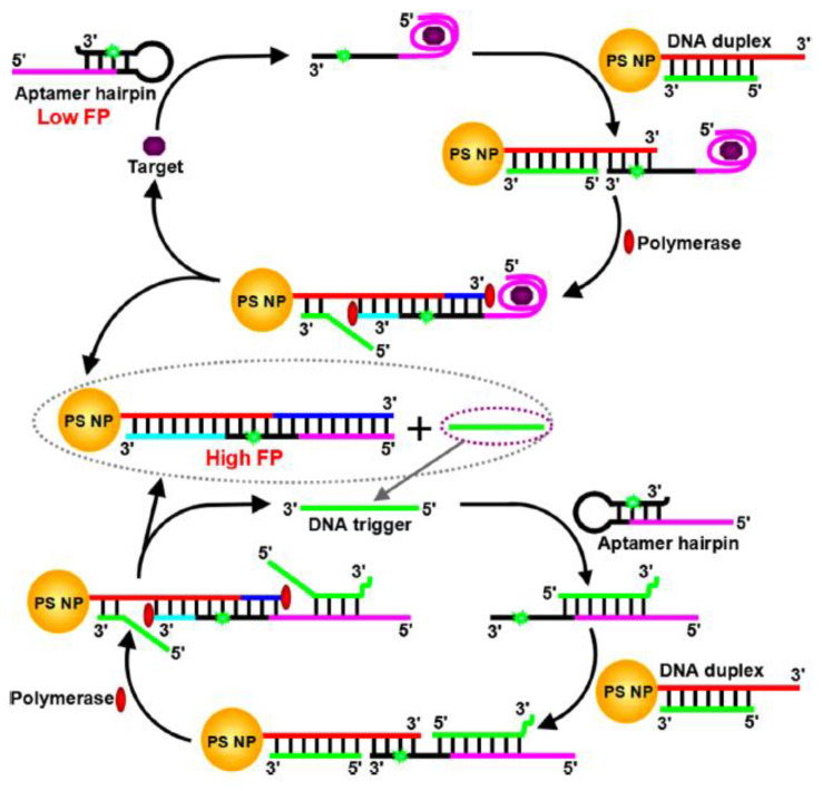 Figure 12