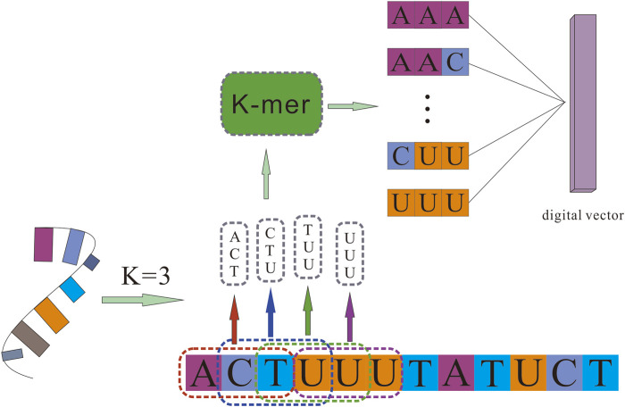 FIGURE 1