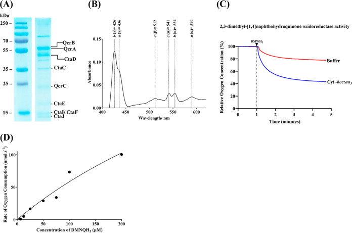 FIG 2