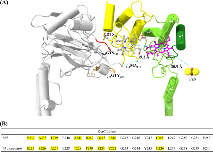 FIG 6