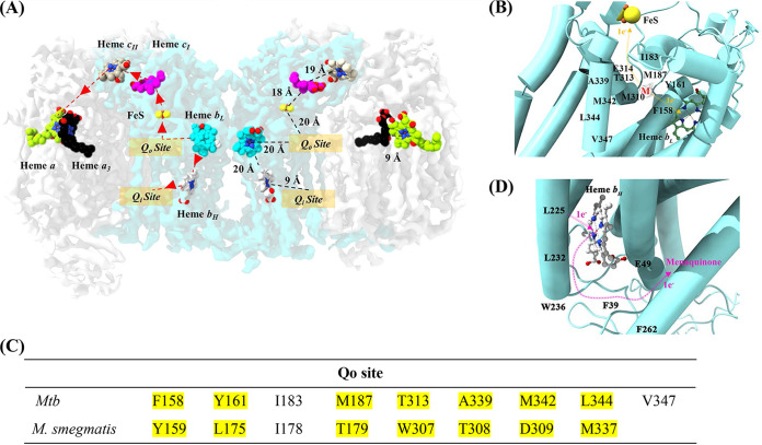 FIG 5