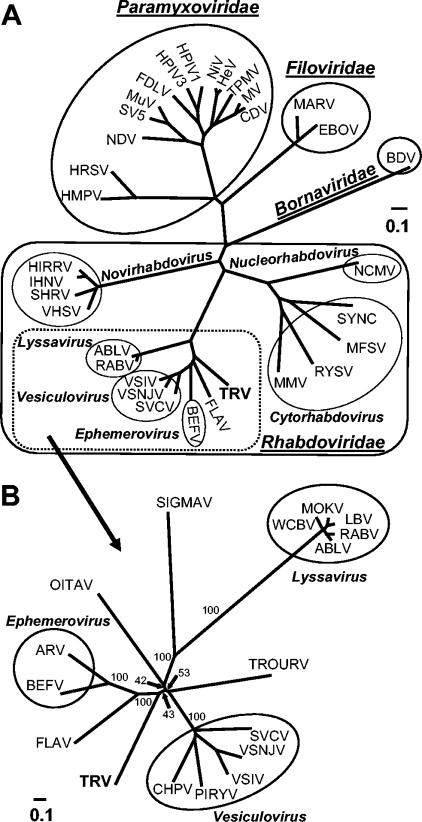 FIG. 5.