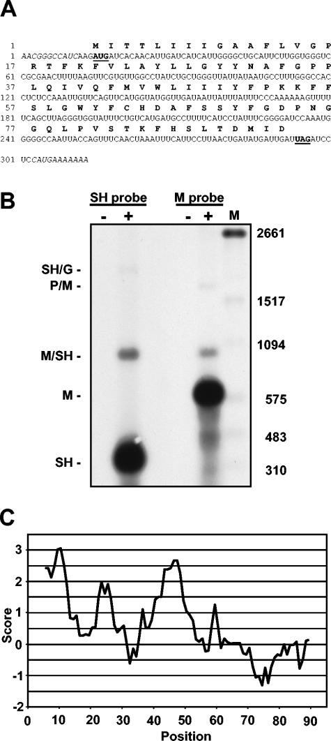 FIG. 3.