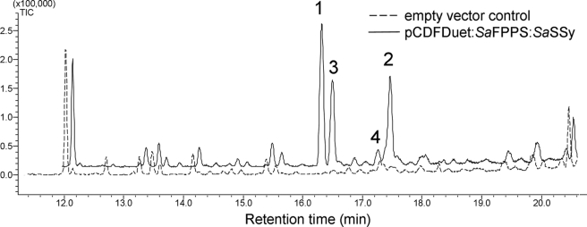 FIGURE 4.