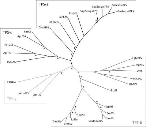 FIGURE 7.