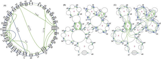 Figure 2.