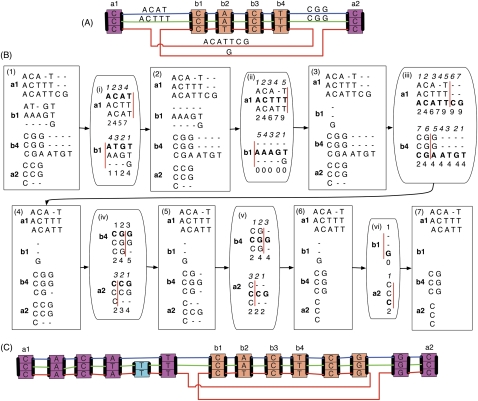 Figure 4.