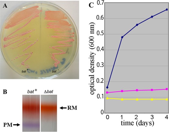 Fig 3