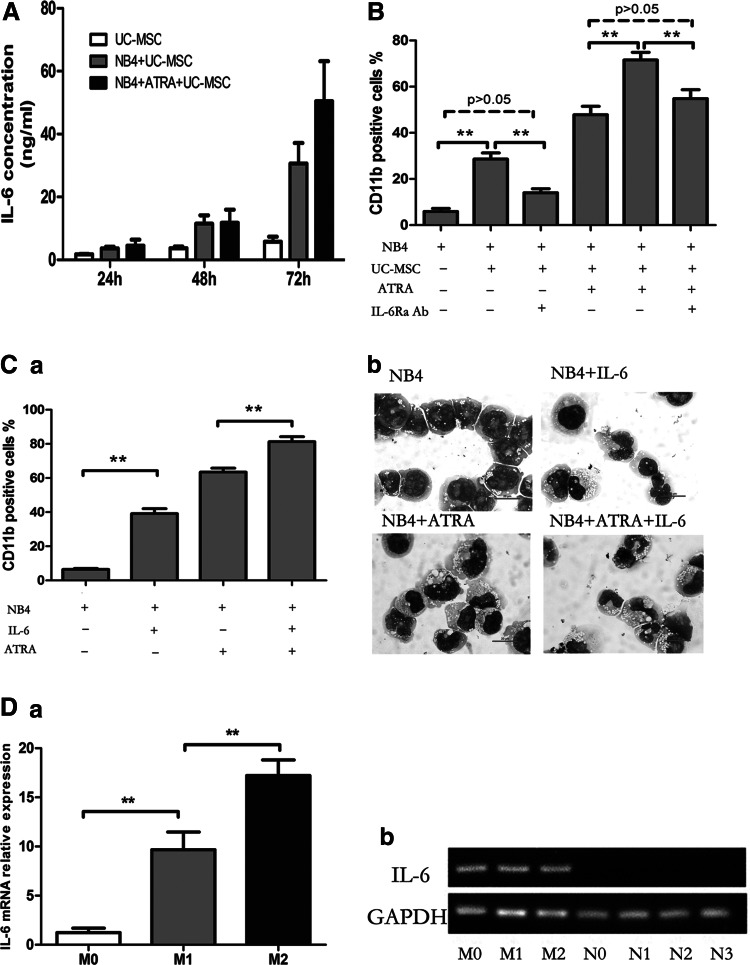 FIG. 6.