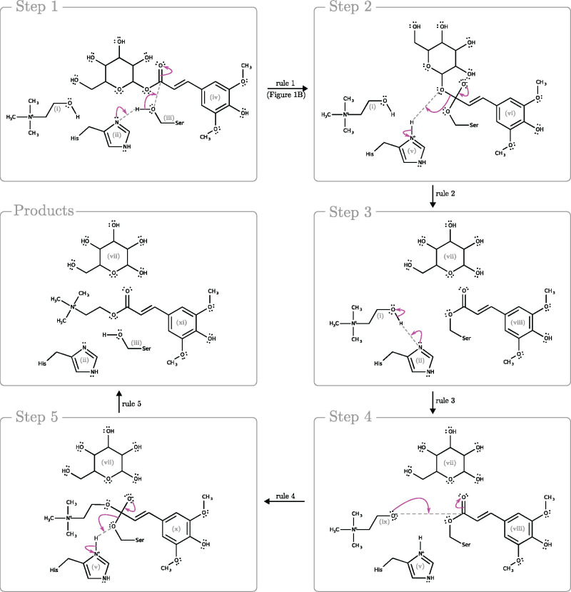 Fig. 3.