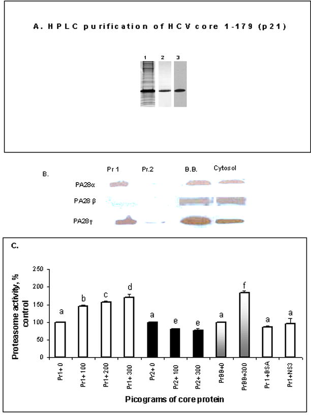 Fig.4