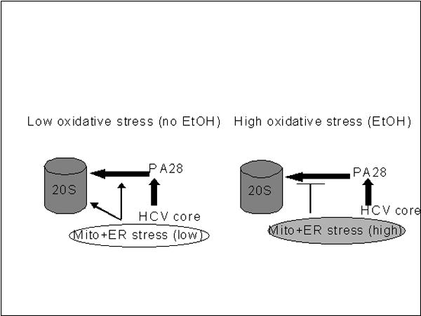 Fig.6