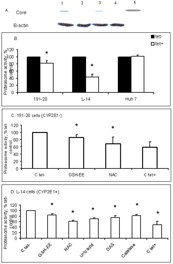 Fig.1