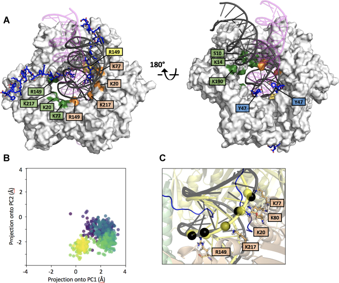 Figure 2.