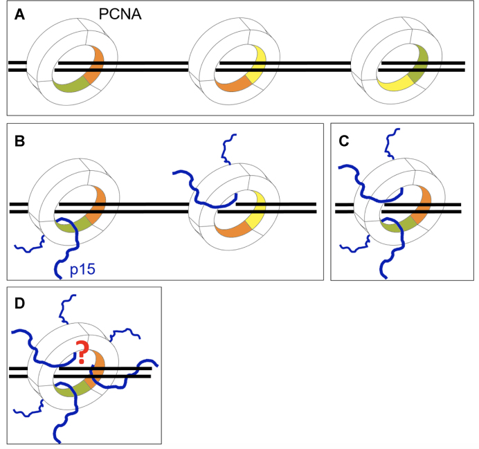 Figure 5.