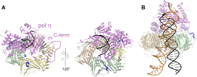 Figure 6.