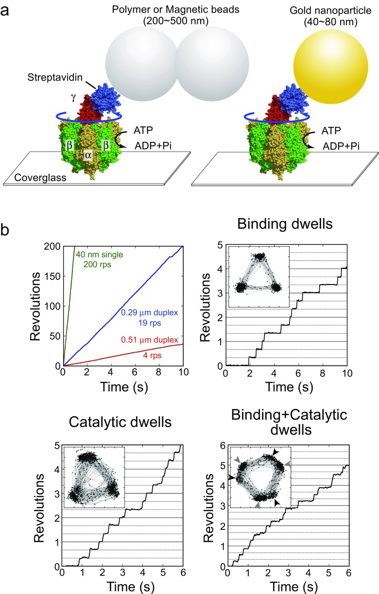 Fig. 3