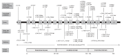 Fig.2. Mutations in the
<i>MTTP</i>
gene